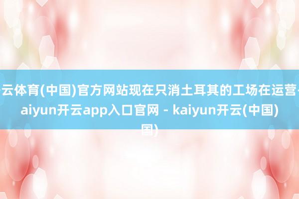 开云体育(中国)官方网站现在只消土耳其的工场在运营-kaiyun开云app入口官网 - kaiyun开云(中国)