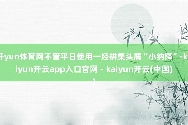 开yun体育网不管平日使用一经拼集头屑“小纳降”-kaiyun开云app入口官网 - kaiyun开云(中国)