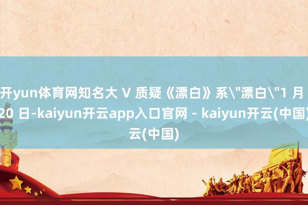 开yun体育网知名大 V 质疑《漂白》系