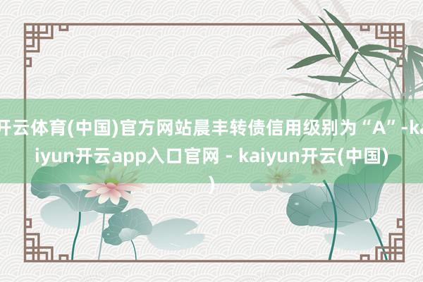 开云体育(中国)官方网站晨丰转债信用级别为“A”-kaiyun开云app入口官网 - kaiyun开云(中国)