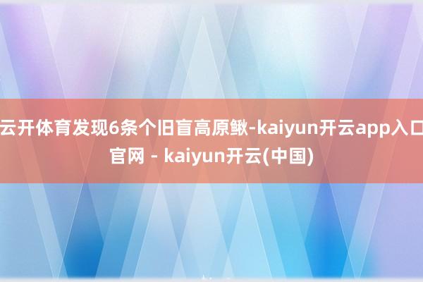 云开体育发现6条个旧盲高原鳅-kaiyun开云app入口官网 - kaiyun开云(中国)