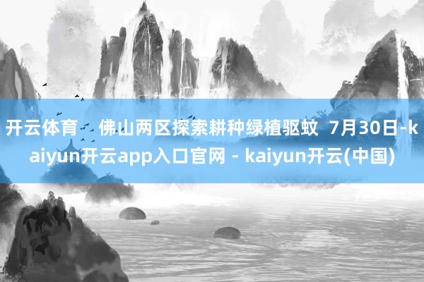开云体育    佛山两区探索耕种绿植驱蚊  7月30日-kaiyun开云app入口官网 - kaiyun开云(中国)