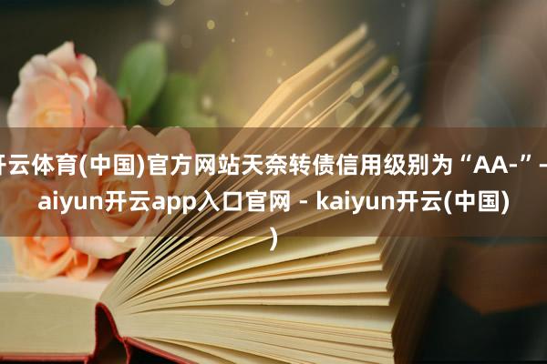 开云体育(中国)官方网站天奈转债信用级别为“AA-”-kaiyun开云app入口官网 - kaiyun开云(中国)