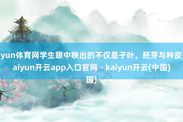 开yun体育网学生眼中映出的不仅是子叶、胚芽与种皮-kaiyun开云app入口官网 - kaiyun开云(中国)