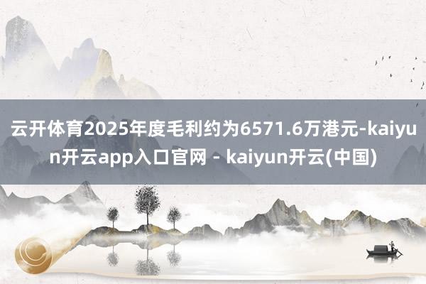 云开体育2025年度毛利约为6571.6万港元-kaiyun开云app入口官网 - kaiyun开云(中国)